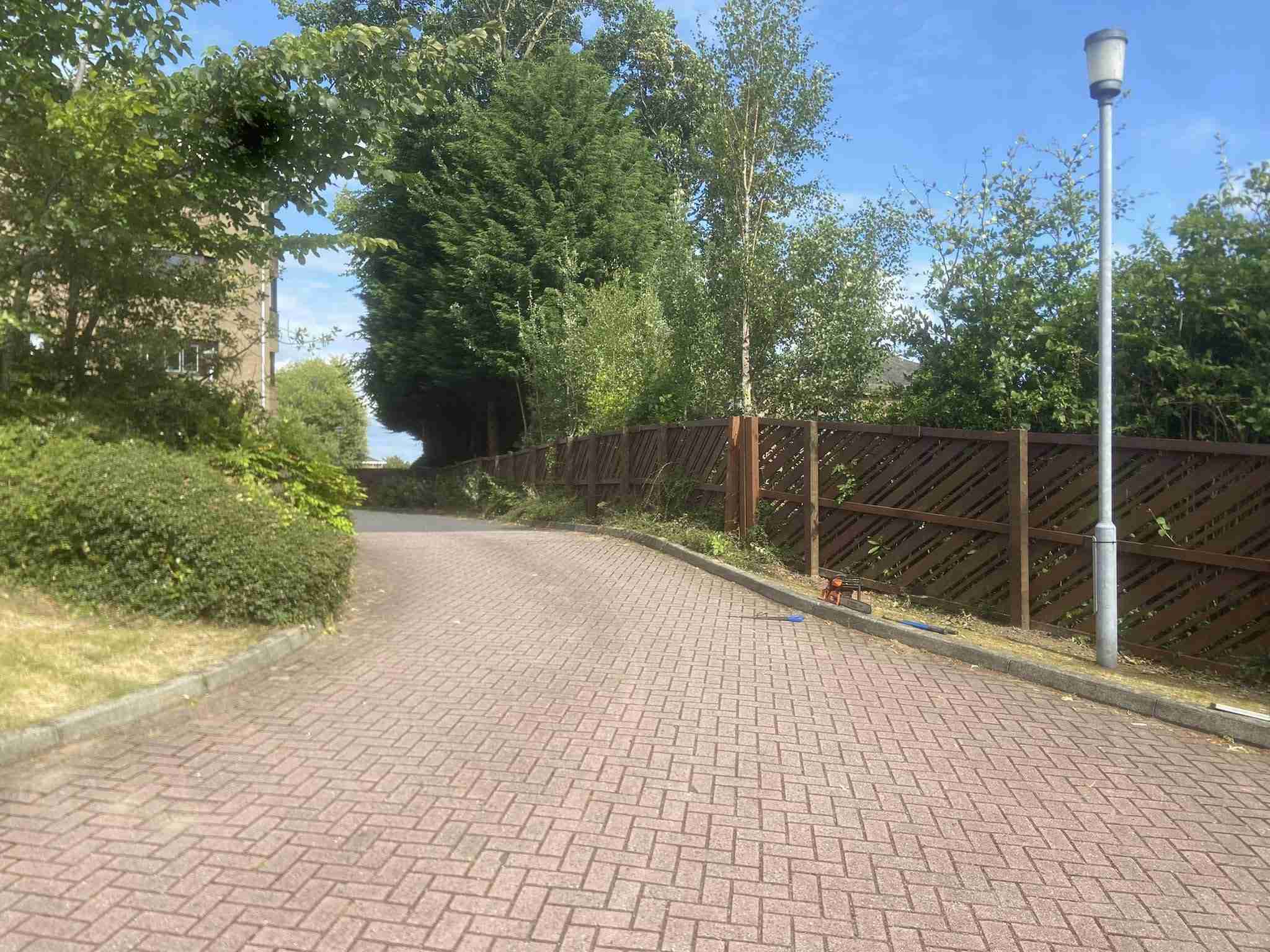 482325203_1160956419149964_7384201909978181124_n-min