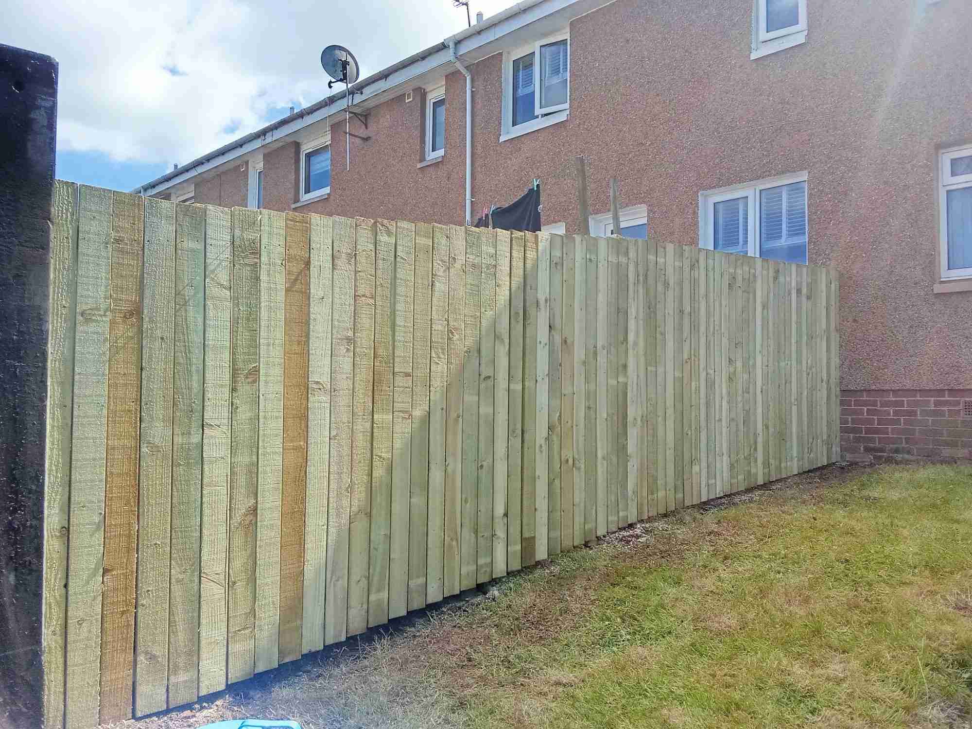 506086049_1230139085565030_8349819655517241124_n-min